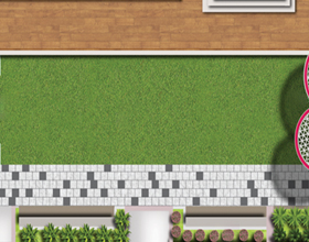 Multi-purpose Lawn